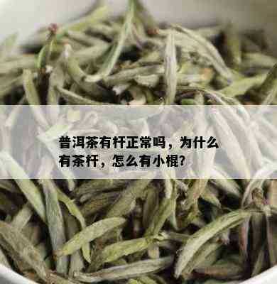 普洱茶有杆正常吗，为什么有茶杆，怎么有小棍？