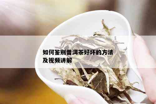 如何鉴别普洱茶好坏的方法及视频讲解