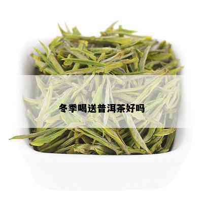 冬季喝送普洱茶好吗