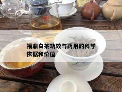 福鼎白茶功效与药用的科学依据和价值