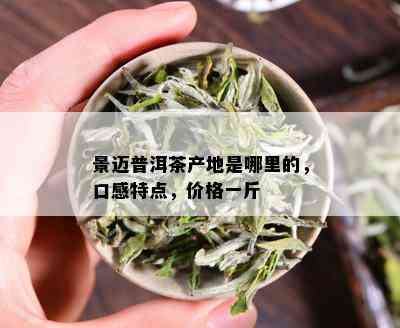 景迈普洱茶产地是哪里的，口感特点，价格一斤