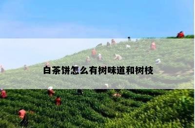 白茶饼怎么有树味道和树枝