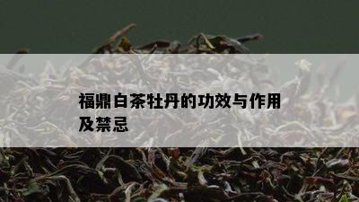 福鼎白茶牡丹的功效与作用及禁忌