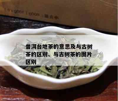 普洱台地茶的意思及与古树茶的区别、与古树茶的图片区别