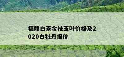 福鼎白茶金枝玉叶价格及2020白牡丹报价