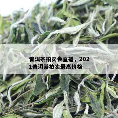 普洱茶拍卖会直播，2021普洱茶拍卖更高价格