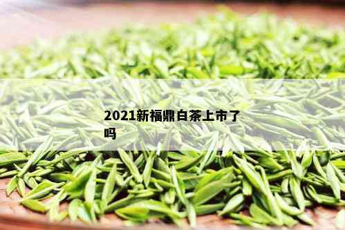 2021新福鼎白茶上市了吗