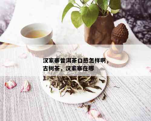 汉家寨普洱茶口感怎样啊，古树茶，汉家寨在哪