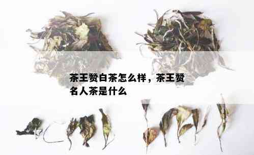 茶王赞白茶怎么样，茶王赞名人茶是什么