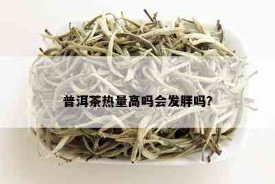 普洱茶热量高吗会发胖吗？