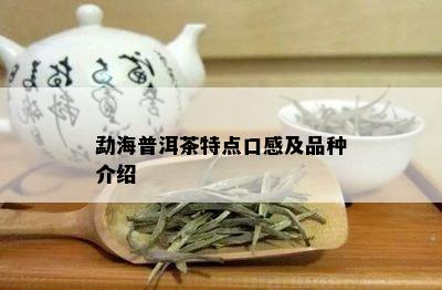 勐海普洱茶特点口感及品种介绍