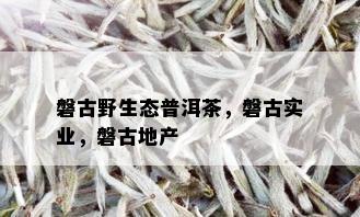 磐古野生态普洱茶，磐古实业，磐古地产