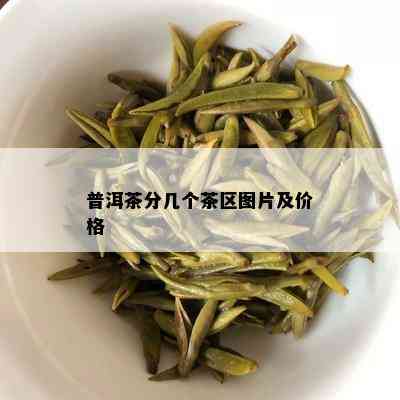 普洱茶分几个茶区图片及价格