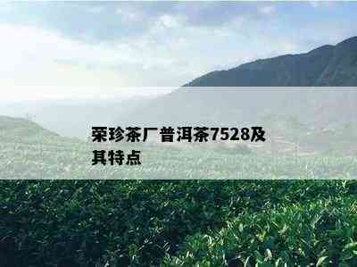 荣珍茶厂普洱茶7528及其特点