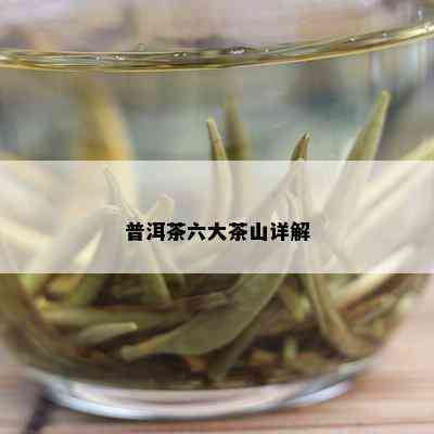 普洱茶六大茶山详解