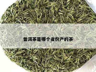 普洱茶是哪个省份产的茶