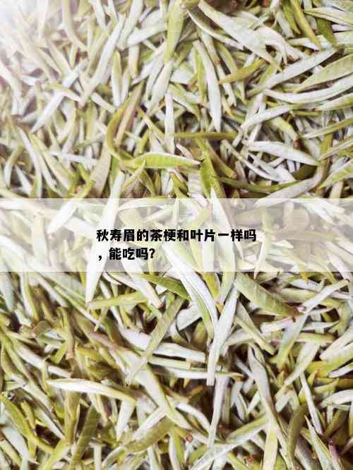 秋寿眉的茶梗和叶片一样吗，能吃吗？