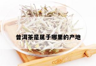 普洱茶是属于哪里的产地