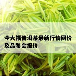 今大福普洱茶最新行情网价及品鉴会报价