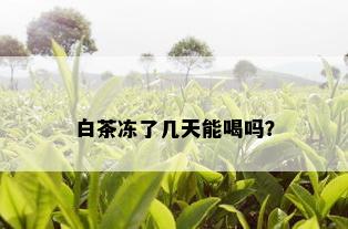 白茶冻了几天能喝吗？