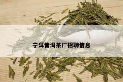 宁洱普洱茶厂招聘信息