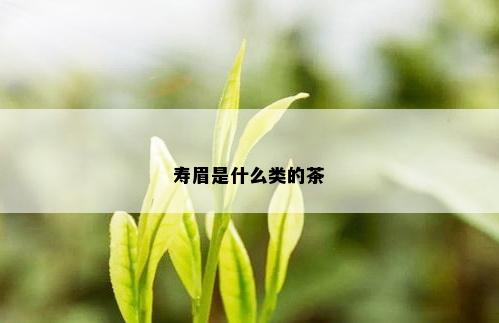 寿眉是什么类的茶