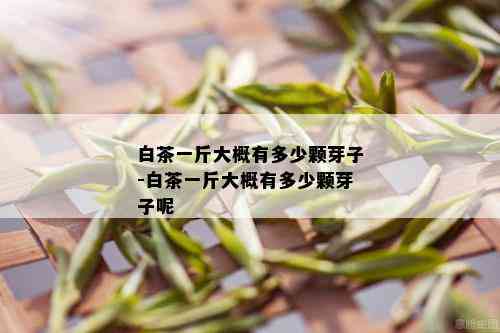 白茶一斤大概有多少颗芽子-白茶一斤大概有多少颗芽子呢