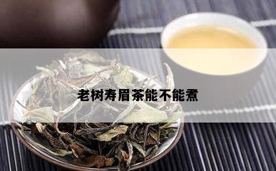 老树寿眉茶能不能煮