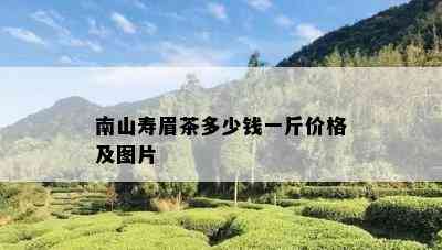 南山寿眉茶多少钱一斤价格及图片