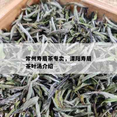 常州寿眉茶专卖，溧阳寿眉茶叶汤介绍