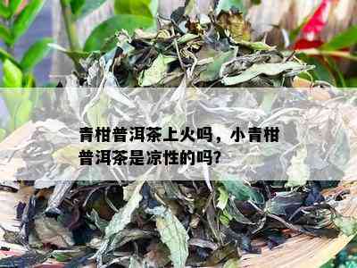 青柑普洱茶上火吗，小青柑普洱茶是凉性的吗？