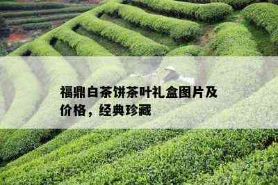 福鼎白茶饼茶叶礼盒图片及价格，经典珍藏