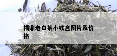 福鼎老白茶小铁盒图片及价格