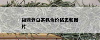 福鼎老白茶铁盒价格表和图片