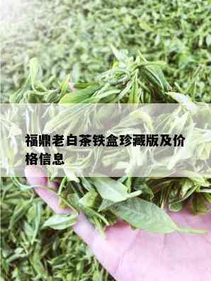 福鼎老白茶铁盒珍藏版及价格信息