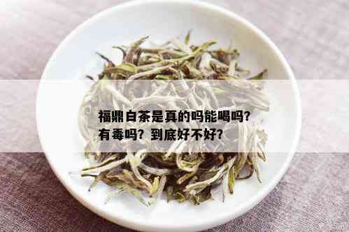 福鼎白茶是真的吗能喝吗？有吗？到底好不好？