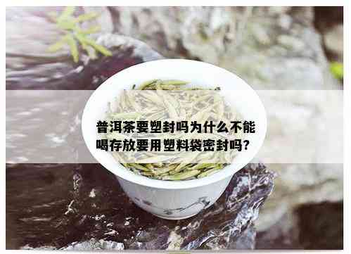 普洱茶要塑封吗为什么不能喝存放要用塑料袋密封吗?