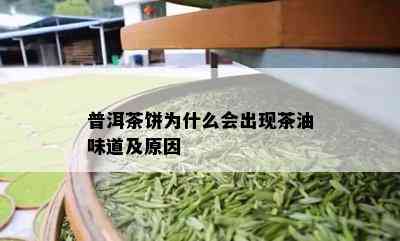 普洱茶饼为什么会出现茶油味道及原因