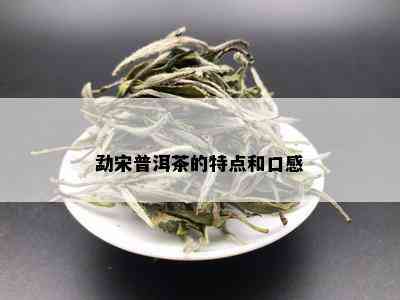 勐宋普洱茶的特点和口感