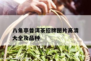 八角亭普洱茶招牌图片高清大全及品种