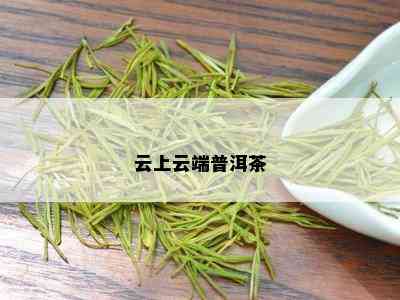 云上云端普洱茶