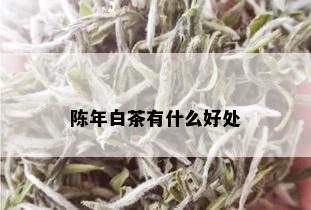 陈年白茶有什么好处