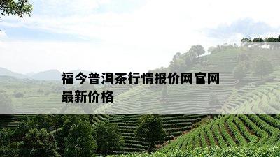 福今普洱茶行情报价网官网最新价格