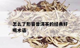 怎么了形容普洱茶的经典好喝术语