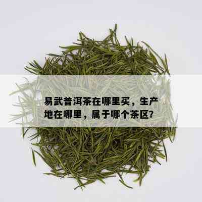 易武普洱茶在哪里买，生产地在哪里，属于哪个茶区？