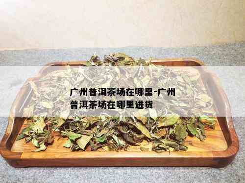 广州普洱茶场在哪里-广州普洱茶场在哪里进货