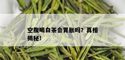 空腹喝白茶会胃胀吗？真相揭秘！