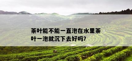 茶叶能不能一直泡在水里茶叶一泡就沉下去好吗？