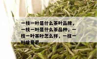 一枝一叶是什么茶叶品牌，一枝一叶是什么茶品种，一枝一叶茶叶怎么样，一枝一叶啥意思