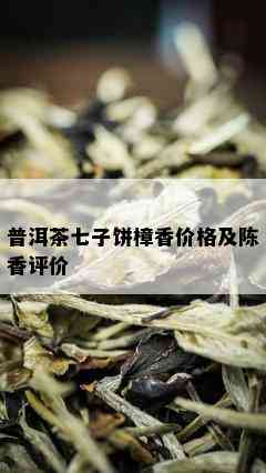 普洱茶七子饼樟香价格及陈香评价